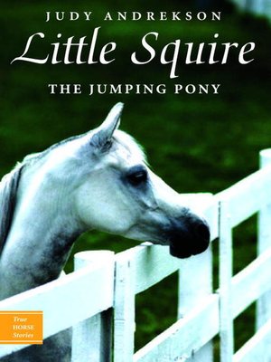 cover image of Little Squire